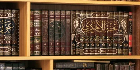 Islamic Studies Department At Global University